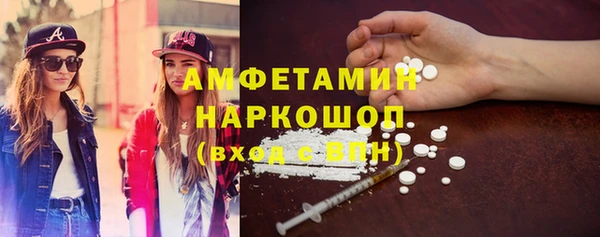 шишки Надым