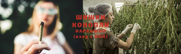 шишки Надым