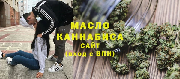 шишки Надым