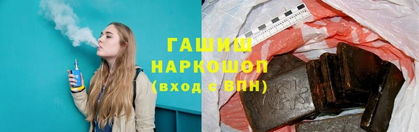 шишки Надым