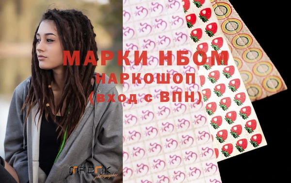 шишки Надым