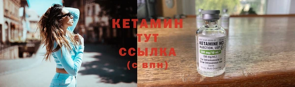 шишки Надым