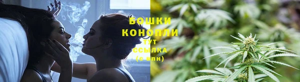 шишки Надым