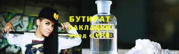 шишки Надым