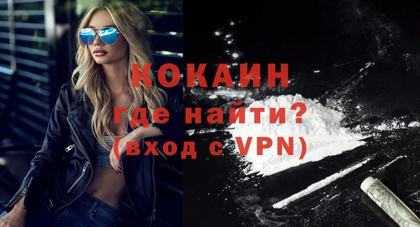 шишки Надым