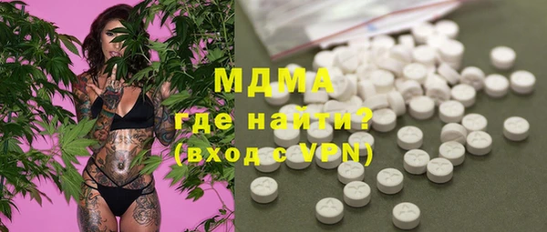 шишки Надым