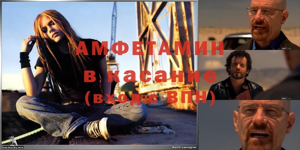 шишки Надым