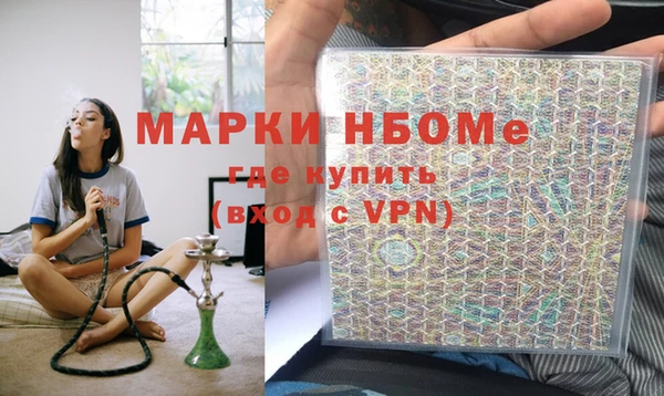 шишки Надым