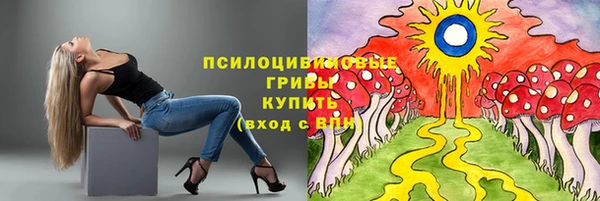 шишки Надым