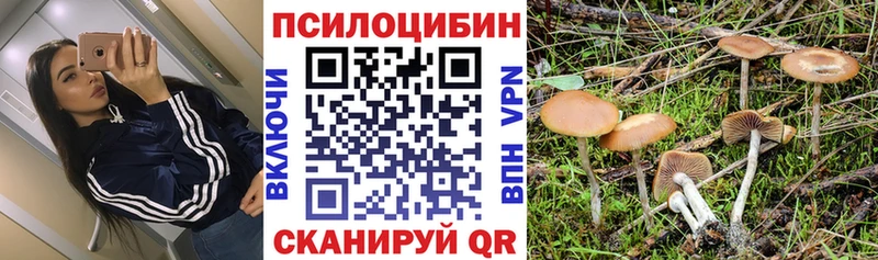 что такое   мега ONION  Псилоцибиновые грибы GOLDEN TEACHER  Устюжна 